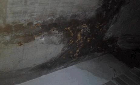墻面滲水有什么辦法修復？屋頂防水施工的時候這些要留意