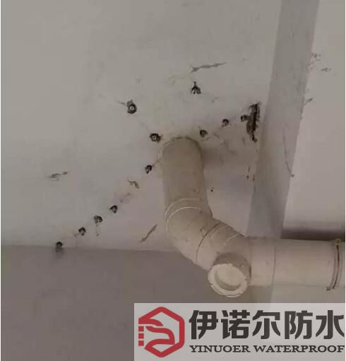 蘇州防水工程的基本內容是什么？